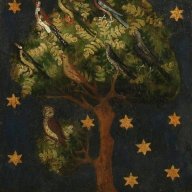 σπονδυλος κτρ